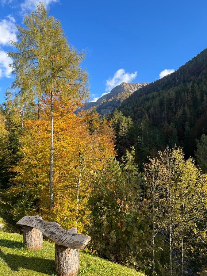 Orobie Alps Resort Roncobello Esterno foto