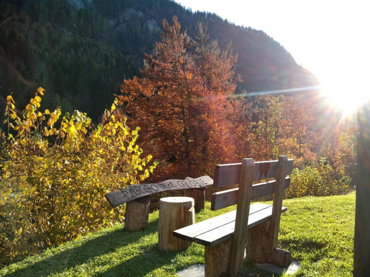 Orobie Alps Resort Roncobello Esterno foto